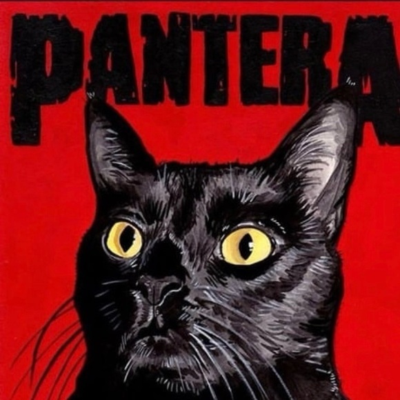 Meet your Posher, Marcella - Picture 12 of 17